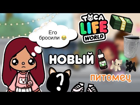 Видео: Бездомный котёнок 🐈‍⬛🥺🩷 / Toca Life World / тока бока / toca boca / Secret Toca