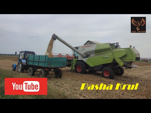 Видео: Молотим сою🌱 ГМО. CLAAS Tucano 470⚡