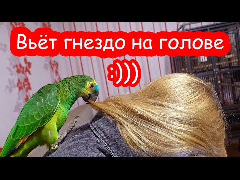 Видео: VLOG Настя больше не боится