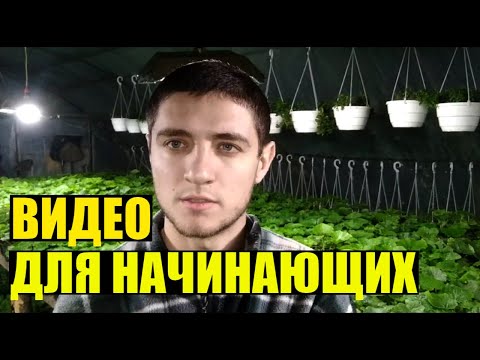 Видео: С чего начать цветочный бизнес?