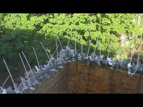 Видео: Недорогая и практичная защита от голубей