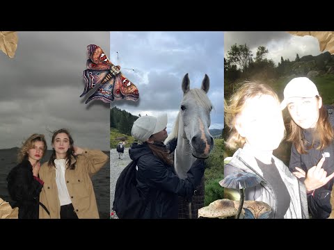 Видео: влог 🇳🇴 | похід в гори 🍃