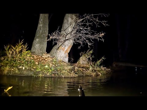 Видео: ПОДВОДНАЯ ОХОТА - ЧУМОВЫЕ СПЛАВЫ НА РЕКЕ ! ПОЗДНЯЯ ОСЕНЬ . SPEARFISHING