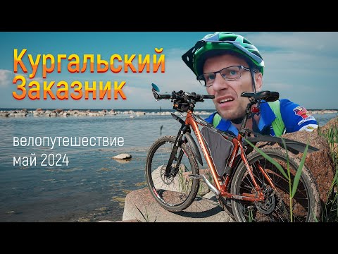 Видео: На велике по Ленинградской области: Кургальский заказник. Май 2024