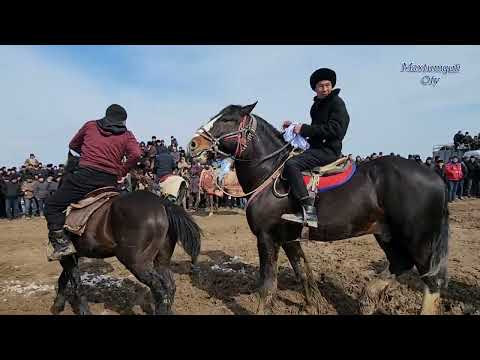 Видео: 26 февраля 2025 г.Shymbay Atshabis