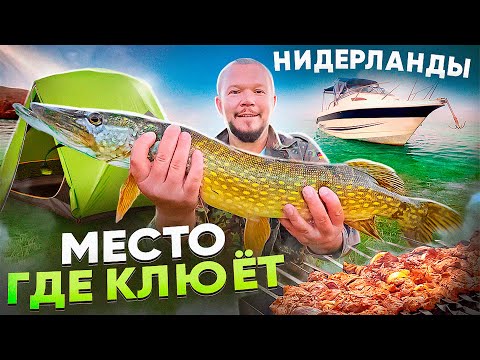 Видео: УФ УФ УФ ПОШЛО ДЕЛО НА РЫБНОМ МЕСТЕ ПОД ШАШЛЫЧОК И МУЗЫКУ 2ч