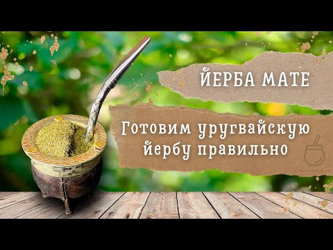 Видео: Как правильно приготовить йерба мате | Детали и тонкости | Маэстро мате