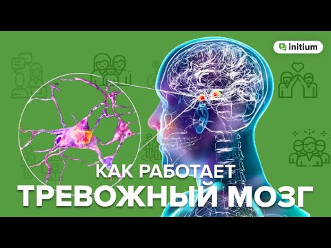 Видео: Как работает тревожный мозг | Как психологические травмы влияют на работу мозга