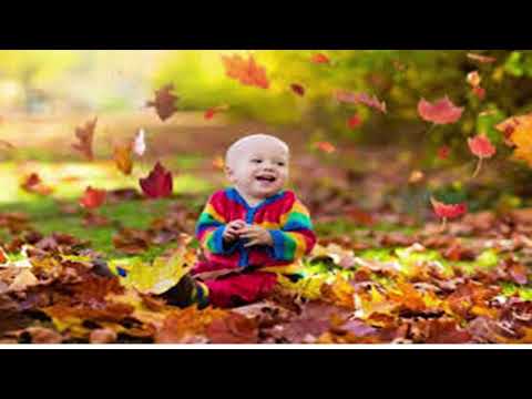 Видео: Консультація для батьків Осінні прогулянки