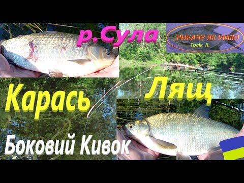 Видео: #Сула # Лящ Карась # Боковий кивок #РибачуЯкУмію