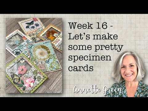 Видео: Неделя 16 — Давайте сделаем несколько красивых открыток-образцов