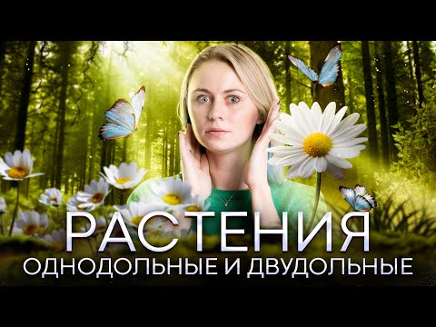 Видео: Биология ЕГЭ - Однодольные и двудольные растения