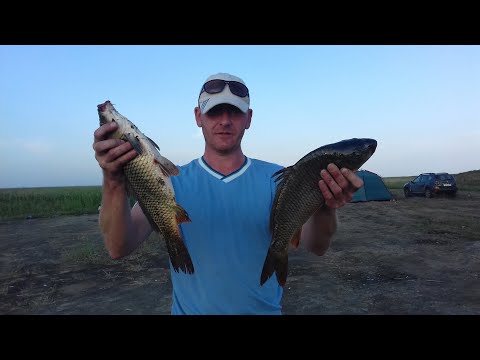 Видео: Сартлан # 2