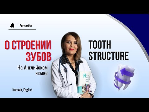 Видео: Строение Зубов на Английском языке | Teeth structure in English | Medical English