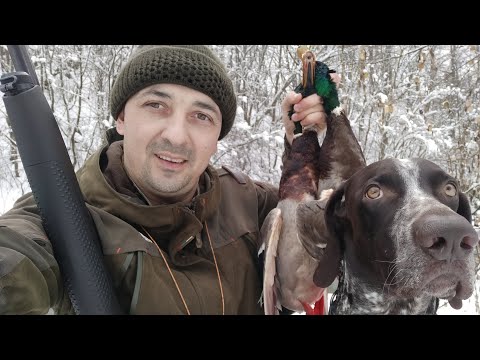Видео: Охота на утку зимой! Закрываю сезон 2021