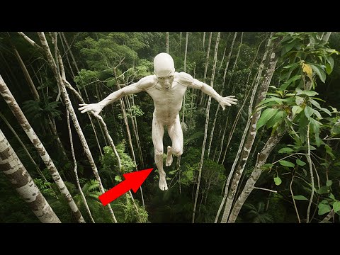 Видео: Дрон Случайно Сделал Леденящее Душу ФОТО, Пролетая Над Джунглями! Топ 20