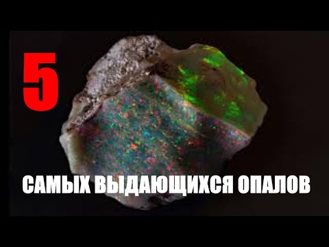 Видео: 5 самых выдающихся опалов