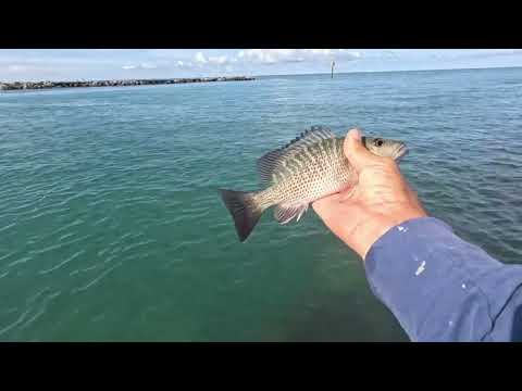 Видео: Maslenitsa is not always for me! Не всегда коту масленица! Не всегда Масленица для меня!