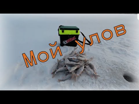 Видео: Озеро в черте города рыбачу сорогу