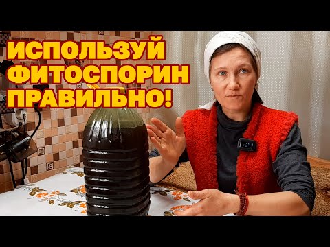 Видео: ДЕЛАЮ ТАК ВСЕГДА ЗАЩИТА РАСТЕНИЙ ОТ БОЛЕЗНЕЙ  ПОД РУКОЙ ПОДГОТОВКА ФИТОСПОРИНА@obovsemsmarusya