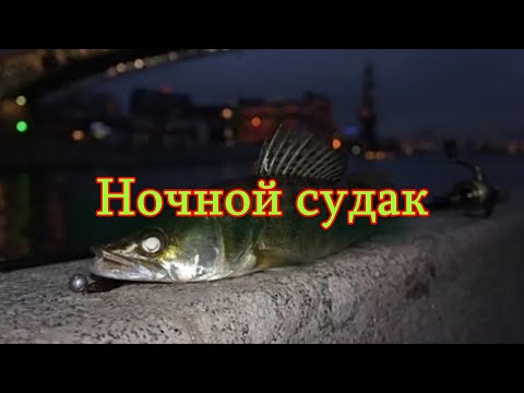 Видео: Константин Кузьмин. Ночной судак (сеанс видео-чата), 2013