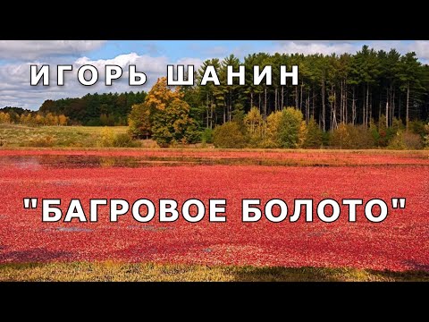 Видео: "Багровое болото". Мистика/Аудио рассказ.