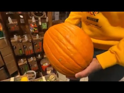 Видео: Хоп-ла-лай-ла — бюджет трещит!Осень официально началась! #влог #обзор 