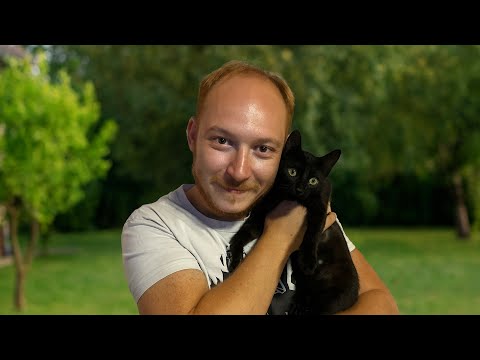 Видео: ВЗЕХ СИ КОТКА