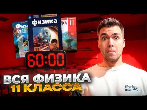 Видео: Вся Физика 11 класс - за 55 Минут
