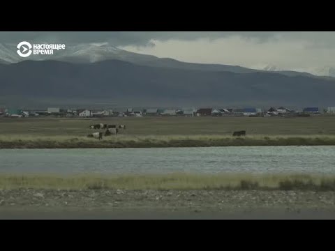 Видео: Как живут казахи в алтайском горном селе Кош-Агач