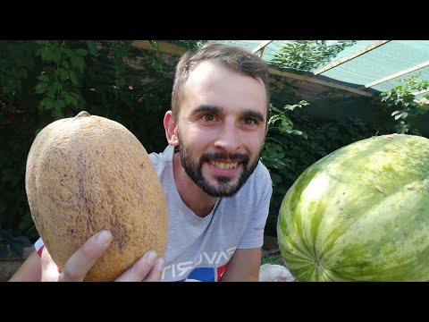 Видео: Чем кормить червя БЕСПЛАТНО!  Летний вариант.