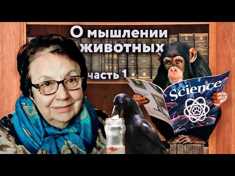 Видео: Отчего люди не решают как птицы