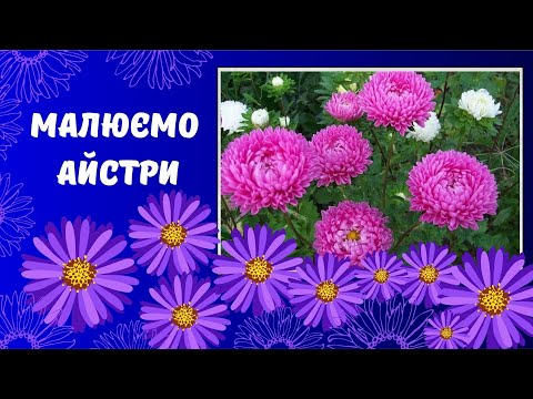 Видео: Малюємо айстри. Малювання для дітей