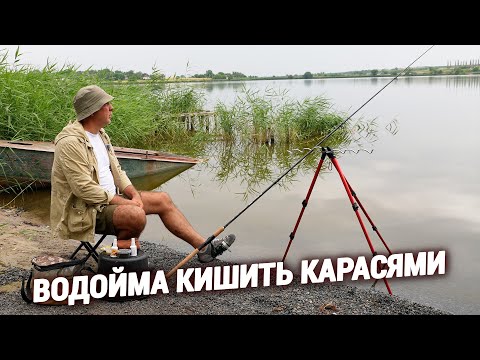 Видео: Ловля на Вбивцю Карася "ТОРБА"