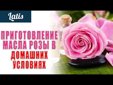 Видео: ПРИГОТОВЛЕНИЕ МАСЛА РОЗЫ В ДОМАШНИХ УСЛОВИЯХ