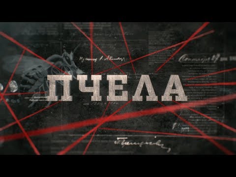 Видео: Пчела | Вещдок