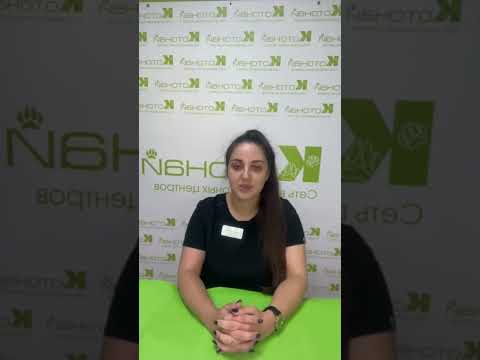 Видео: Как проявляется панкреатит у домашних животных