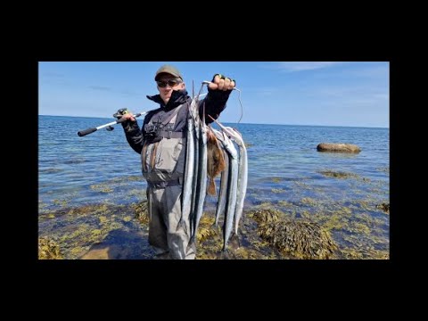 Видео: За Сарганом и камбалой!! Морская рыблка в Германии 2023.