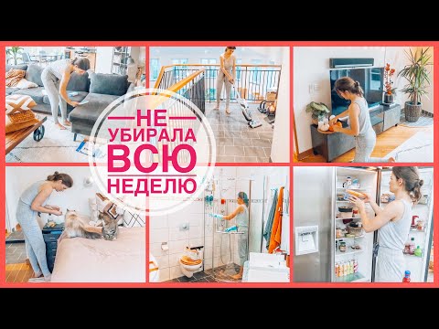 Видео: 🐝🧹🧽 СУПЕР МОТИВАЦИЯ НА УБОРКУ  | Музыка для мотивации | Не убирала всю неделю