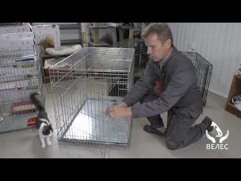 Видео: Клетка, гуманная ловушка, с распашной дверцей.