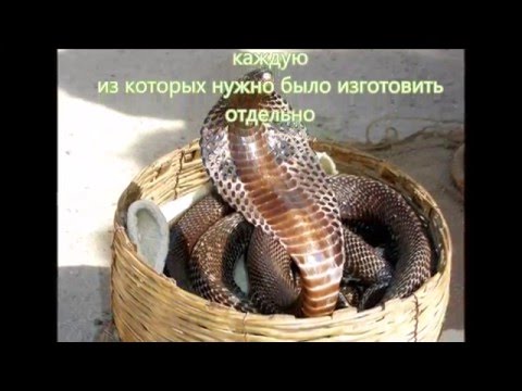 Видео: Кобра (прикол из металлолома 4) Kobra snake