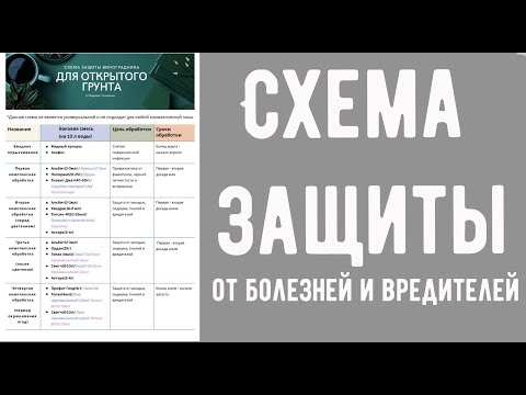 Видео: Схема защиты виноградника от болезней и вредителей для открытого грунта и для теплицы. Баковые смеси