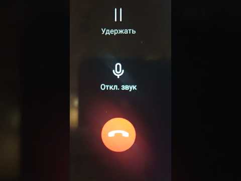 Видео: Страшное заклинание "ИНН" изгоняет мошонок.