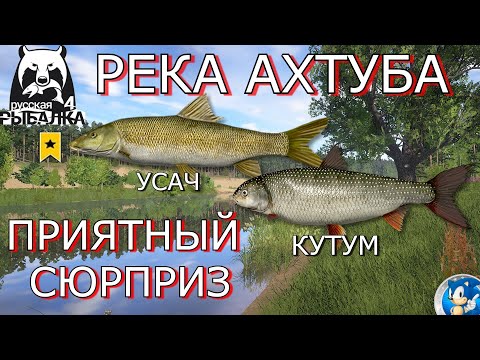 Видео: 🌟РЕКА АХТУБА 🌟 ТРОФ УСАЧ + КУТУМ 🌟Русская Рыбалка 4 (РР4)🌟