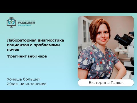 Видео: Фрагмент интенсива "Лабораторная диагностика пациентов с проблемами почек", лектор Екатерина Радюк