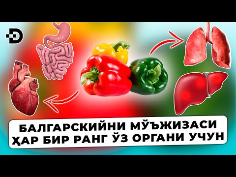 Видео: БУ МЎЪЖИЗА! БАЛГАРСКИЙ БУЛҒОР ҚАЛАМПИРИНИНГ БАРЧА ОРГАНЛАР УЧУН ФОЙДАСИ