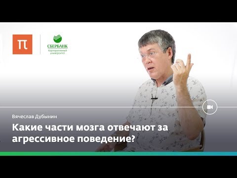 Видео: Мозг и агрессия — Вячеслав Дубынин