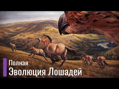 Видео: Реальная Эволюция Лошадей. Первобытные лошади