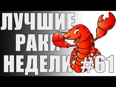 Видео: ЛРН выпуск №61. БЕШЕНЫЕ ГОЛУБЦЫ АТАКУЮТ! [Лучшие Раки Недели]