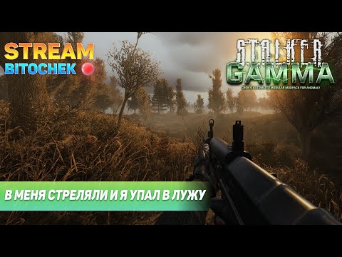 Видео: ⚡ Bitochek : Саня Чекушка - фарм снаряги [ СТАЛКЕР ГАММА ]